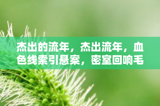 杰出的流年,杰出流年,血色线索引悬案,密室回响毛骨悚然真相 杰出的流年,杰出流年,血色线索引悬案,密室回响毛骨悚然真相