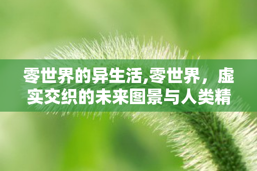 零世界的异生活,零世界,虚实交织的未来图景与人类精神新边疆 零世界的异生活,零世界,虚实交织的未来图景与人类精神新边疆
