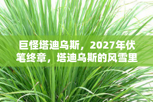 巨怪塔迪乌斯，2027年伏笔终章，塔迪乌斯的风雪里，我鼻子一酸按下删除键
