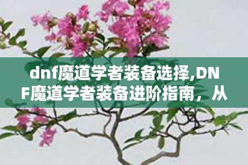 dnf魔道学者装备选择,DNF魔道学者装备进阶指南,从新手到毕业的全面解析 dnf魔道学者装备选择,DNF魔道学者装备进阶指南,从新手到毕业的全面解析