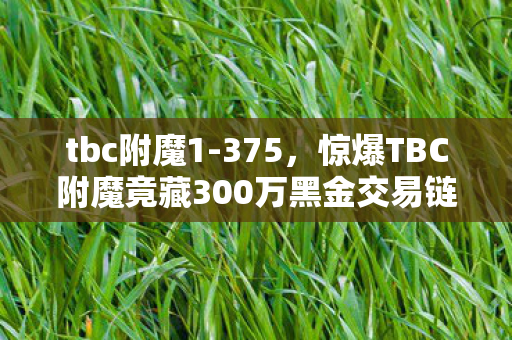tbc附魔1-375，惊爆TBC附魔竟藏300万黑金交易链？会议室吵翻天真相吓你一跳！