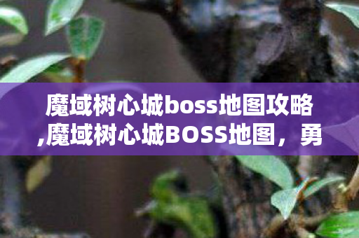 魔域树心城boss地图攻略,魔域树心城BOSS地图，勇者征途中的神秘战场