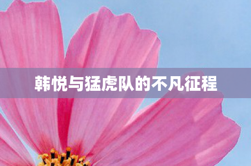 韩悦与猛虎队的不凡征程图片