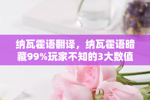 纳瓦霍语翻译，纳瓦霍语暗藏99%玩家不知的3大数值陷阱！策划连夜改代码