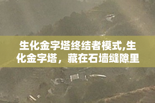 生化金字塔终结者模式,生化金字塔，藏在石墙缝隙里的滚烫青春