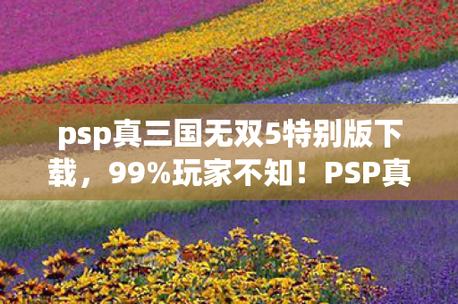 psp真三国无双5特别版下载，99%玩家不知！PSP真三5特别版竟藏逆天机制，颠覆你的无双认知！