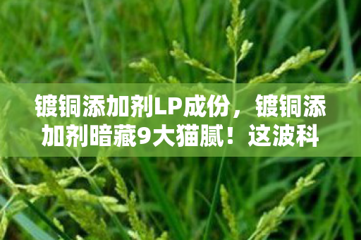 镀铜添加剂LP成份,镀铜添加剂暗藏9大猫腻!这波科技与狠活让玩家氪到上头 镀铜添加剂LP成份,镀铜添加剂暗藏9大猫腻!这波科技与狠活让玩家氪到上头