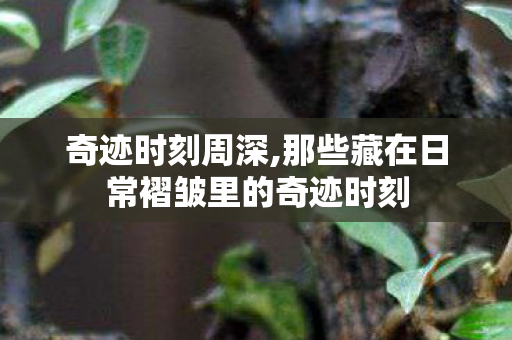 奇迹时刻周深,那些藏在日常褶皱里的奇迹时刻