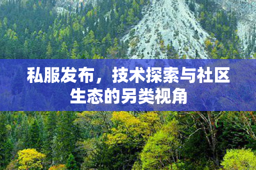 私服发布,技术探索与社区生态的另类视角 私服发布,技术探索与社区生态的另类视角
