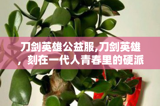 刀剑英雄公益服,刀剑英雄,刻在一代人青春里的硬派武侠江湖 刀剑英雄公益服,刀剑英雄,刻在一代人青春里的硬派武侠江湖