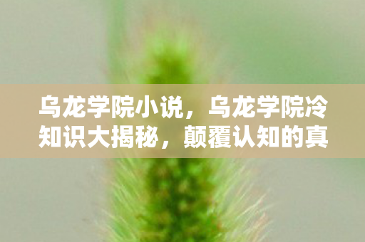 乌龙学院小说，乌龙学院冷知识大揭秘，颠覆认知的真相，让你目瞪口呆！