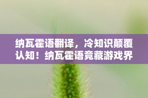 纳瓦霍语翻译,冷知识颠覆认知!纳瓦霍语竟藏游戏界目瞪口呆的隐形炸弹 纳瓦霍语翻译,冷知识颠覆认知!纳瓦霍语竟藏游戏界目瞪口呆的隐形炸弹
