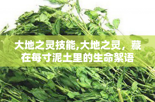 大地之灵技能,大地之灵，藏在每寸泥土里的生命絮语