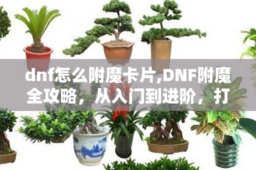 dnf怎么附魔卡片,DNF附魔全攻略,从入门到进阶,打造高伤角色的核心技巧 dnf怎么附魔卡片,DNF附魔全攻略,从入门到进阶,打造高伤角色的核心技巧