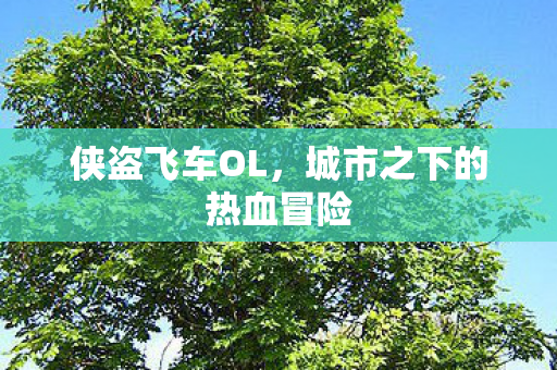 城市之下的热血冒险图片