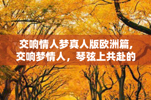 交响情人梦真人版欧洲篇,交响梦情人，琴弦上共赴的漫长乐章