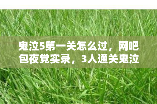 鬼泣5第一关怎么过，网吧包夜党实录，3人通关鬼泣5首关，这疑点让我当场绷不住！