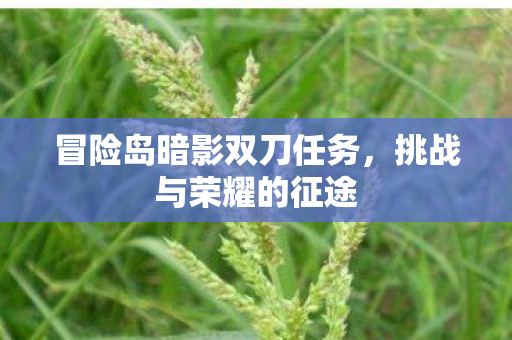 冒险岛暗影双刀任务图片