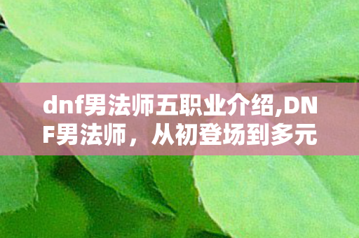 dnf男法师五职业介绍,DNF男法师,从初登场到多元分支的十年成长路 dnf男法师五职业介绍,DNF男法师,从初登场到多元分支的十年成长路