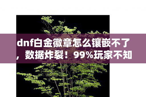 dnf白金徽章怎么镶嵌不了,数据炸裂!99%玩家不知的白金徽章镶嵌术,竟藏着10倍收益密码 dnf白金徽章怎么镶嵌不了,数据炸裂!99%玩家不知的白金徽章镶嵌术,竟藏着10倍收益密码