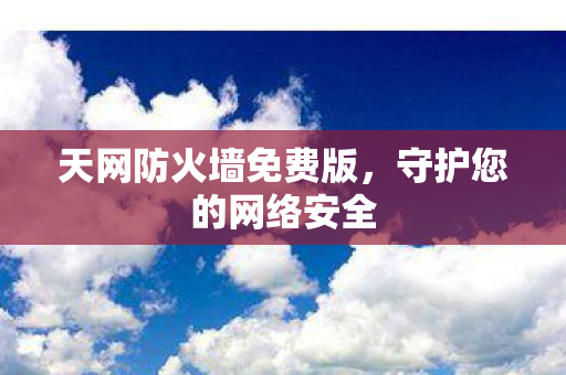 天网防火墙免费版图片
