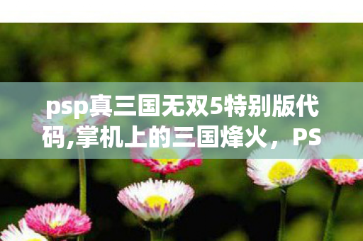 psp真三国无双5特别版代码,掌机上的三国烽火,PSP真三国无双5 特别版的难忘游玩回忆 psp真三国无双5特别版代码,掌机上的三国烽火,PSP真三国无双5 特别版的难忘游玩回忆