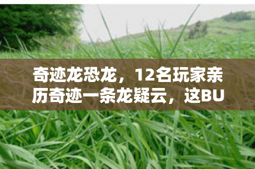 奇迹龙恐龙,12名玩家亲历奇迹一条龙疑云,这BUG是官方彩蛋还是程序员绷不住的恶作剧? 奇迹龙恐龙,12名玩家亲历奇迹一条龙疑云,这BUG是官方彩蛋还是程序员绷不住的恶作剧?