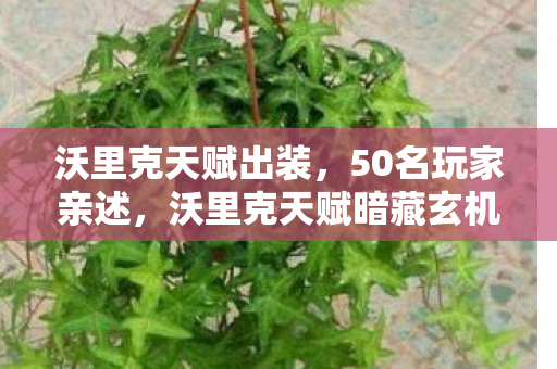 沃里克天赋出装,50名玩家亲述,沃里克天赋暗藏玄机?大神萌新集体破防真相绷不住! 沃里克天赋出装,50名玩家亲述,沃里克天赋暗藏玄机?大神萌新集体破防真相绷不住!