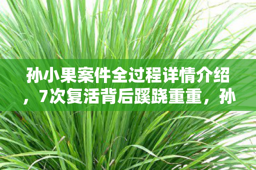 孙小果案件全过程详情介绍,7次复活背后蹊跷重重,孙小果案真相让人后背发凉! 孙小果案件全过程详情介绍,7次复活背后蹊跷重重,孙小果案真相让人后背发凉!