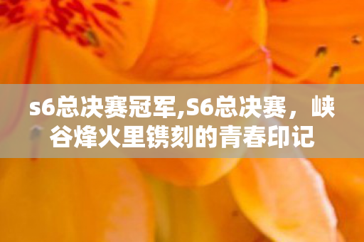s6总决赛冠军,S6总决赛,峡谷烽火里镌刻的青春印记 s6总决赛冠军,S6总决赛,峡谷烽火里镌刻的青春印记
