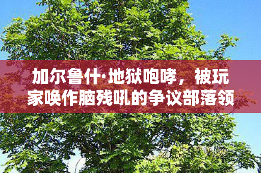 加尔鲁什·地狱咆哮,被玩家唤作脑残吼的争议部落领袖 加尔鲁什·地狱咆哮,被玩家唤作脑残吼的争议部落领袖