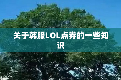 关于韩服LOL点券的一些知识图片
