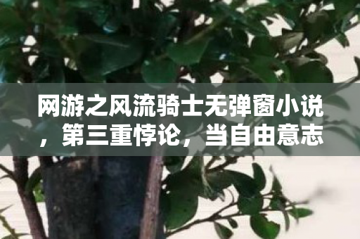 网游之风流骑士无弹窗小说，第三重悖论，当自由意志成为命运牢笼的钥匙