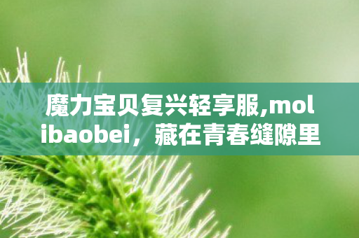 魔力宝贝复兴轻享服,molibaobei,藏在青春缝隙里的回合制奇幻旧梦 魔力宝贝复兴轻享服,molibaobei,藏在青春缝隙里的回合制奇幻旧梦