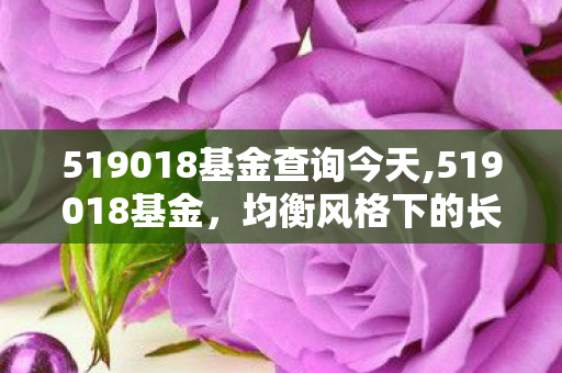 519018基金查询今天,519018基金,均衡风格下的长期权益配置实用参考 519018基金查询今天,519018基金,均衡风格下的长期权益配置实用参考