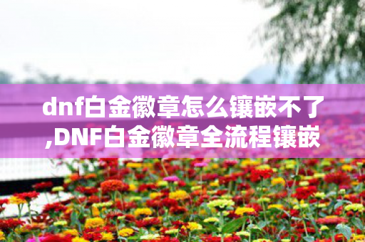 dnf白金徽章怎么镶嵌不了,DNF白金徽章全流程镶嵌指南 细节避坑轻松提升战力 dnf白金徽章怎么镶嵌不了,DNF白金徽章全流程镶嵌指南 细节避坑轻松提升战力