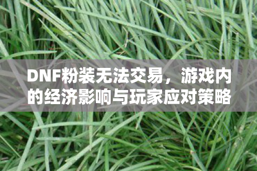 游戏内的经济影响与玩家应对策略图片