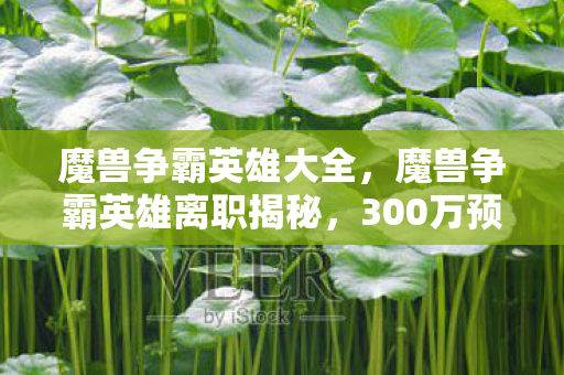 魔兽争霸英雄大全,魔兽争霸英雄离职揭秘,300万预算背后隐情,真相让人吓一跳! 魔兽争霸英雄大全,魔兽争霸英雄离职揭秘,300万预算背后隐情,真相让人吓一跳!
