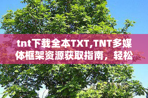 tnt下载全本TXT,TNT多媒体框架资源获取指南,轻松搭建高效音视频处理环境 tnt下载全本TXT,TNT多媒体框架资源获取指南,轻松搭建高效音视频处理环境