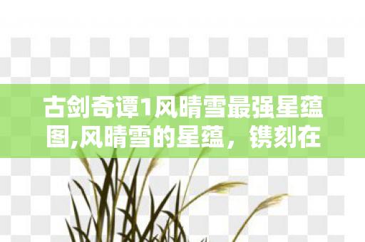 古剑奇谭1风晴雪最强星蕴图,风晴雪的星蕴,镌刻在荒魂旅途中的温柔力量 古剑奇谭1风晴雪最强星蕴图,风晴雪的星蕴,镌刻在荒魂旅途中的温柔力量