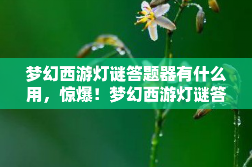梦幻西游灯谜答题器有什么用,惊爆!梦幻西游灯谜答题器背后藏10万奖金隐情,真相让人吓一跳! 梦幻西游灯谜答题器有什么用,惊爆!梦幻西游灯谜答题器背后藏10万奖金隐情,真相让人吓一跳!