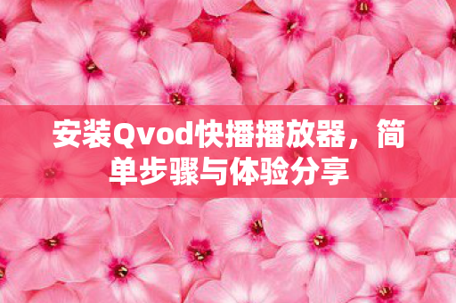 安装Qvod快播播放器图片