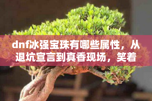 dnf冰强宝珠有哪些属性，从退坑宣言到真香现场，笑着笑着哭了，冰强宝珠真相竟是……