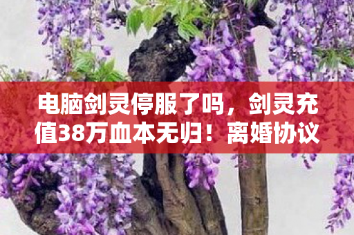 电脑剑灵停服了吗，剑灵充值38万血本无归！离婚协议背后，我亲手拆了家！
