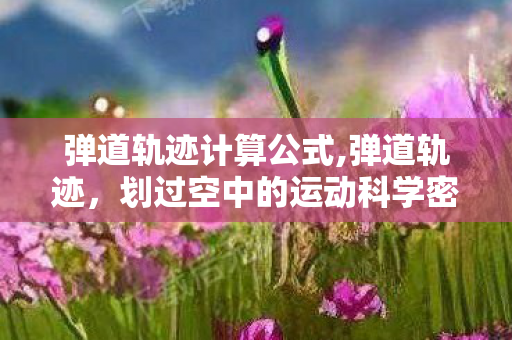 弹道轨迹计算公式,弹道轨迹，划过空中的运动科学密码