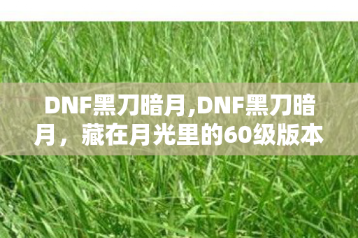 DNF黑刀暗月,DNF黑刀暗月,藏在月光里的60级版本青春回响 DNF黑刀暗月,DNF黑刀暗月,藏在月光里的60级版本青春回响