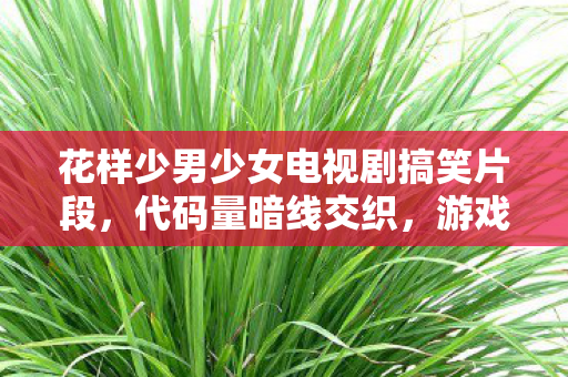 花样少男少女电视剧搞笑片段，代码量暗线交织，游戏指挥的头皮发麻逆袭之路