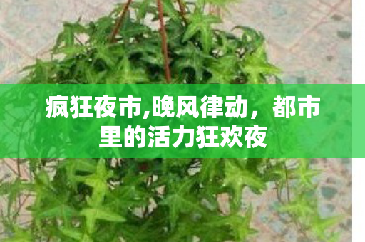 疯狂夜市,晚风律动,都市里的活力狂欢夜 疯狂夜市,晚风律动,都市里的活力狂欢夜
