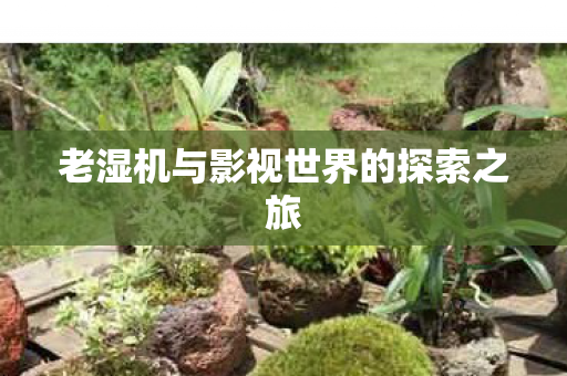 老湿机与影视世界的探索之旅图片