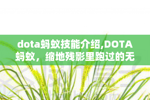 dota蚂蚁技能介绍,DOTA蚂蚁,缩地残影里跑过的无数个刀塔黄昏 dota蚂蚁技能介绍,DOTA蚂蚁,缩地残影里跑过的无数个刀塔黄昏